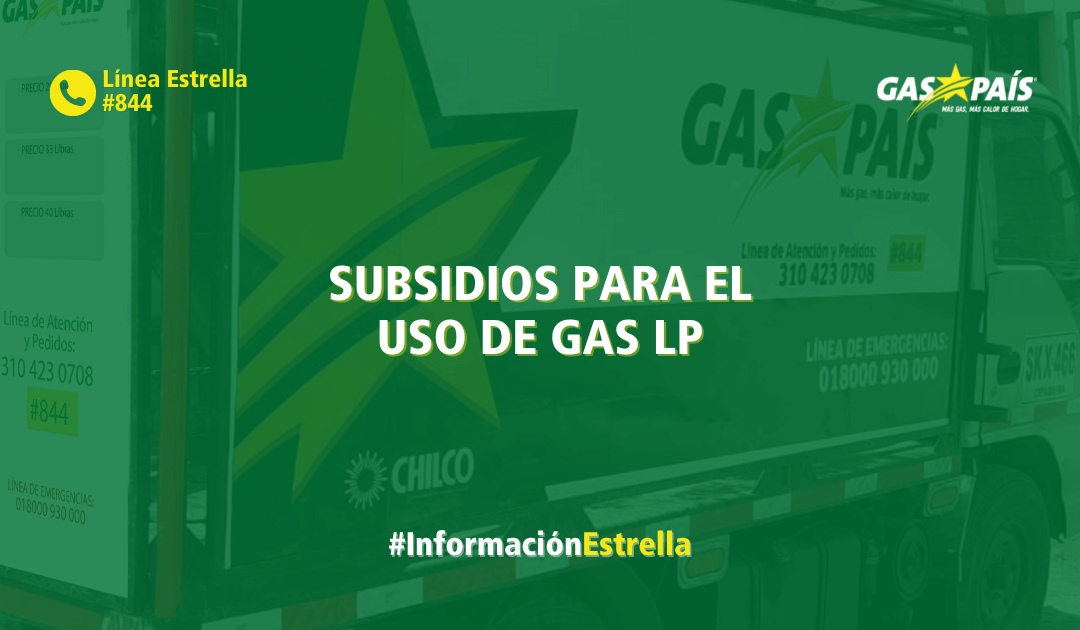 SUBSIDIOS PARA EL USO DE GAS LP EN CILINDRO