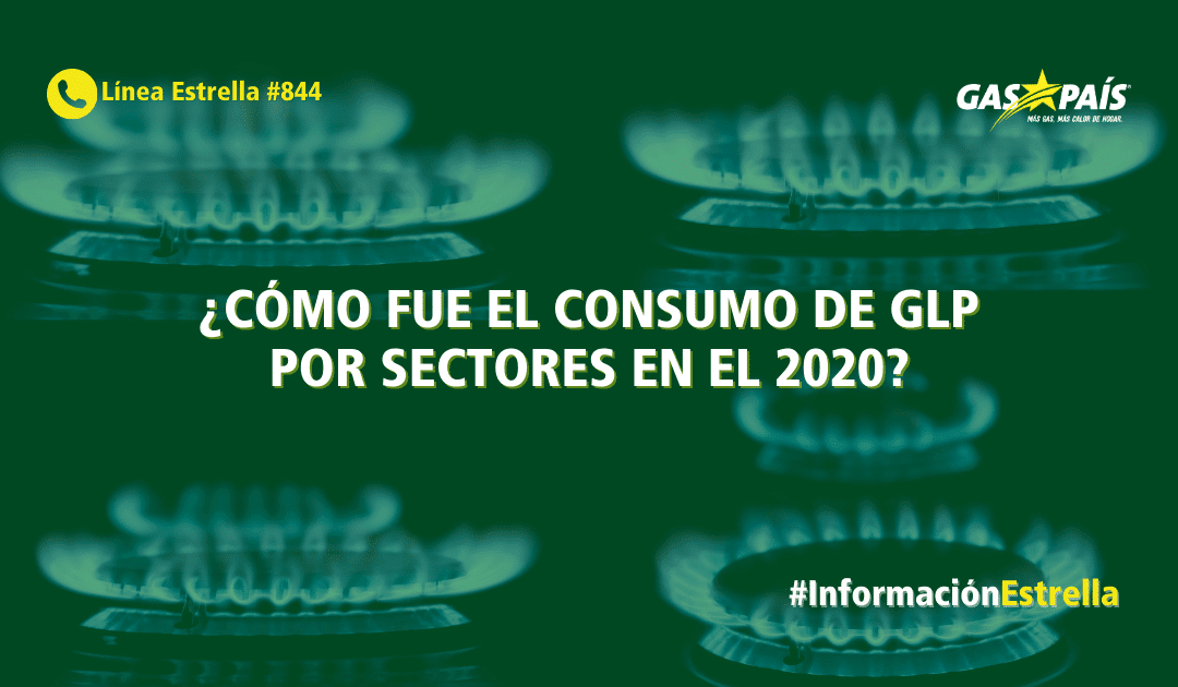 ¿CÓMO FUE EL CONSUMO DE GLP POR SECTORES EN EL 2020?