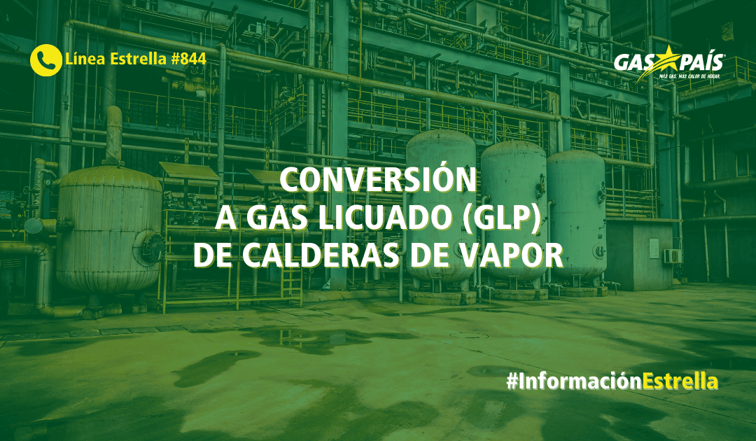 CONVERSIÓN A GAS LICUADO DE CALDERAS DE VAPOR