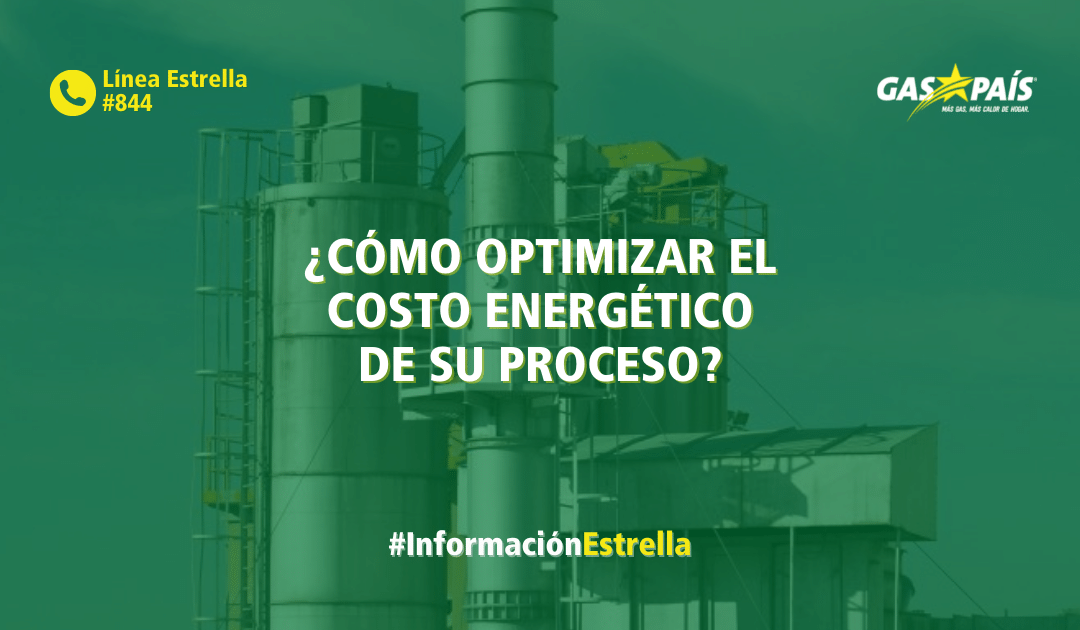 ¿CÓMO OPTIMIZAR EL COSTO ENERGÉTICO DE SU PROCESO?