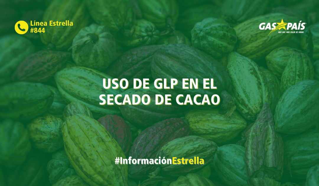 USO DE GLP EN EL SECADO DE CACAO