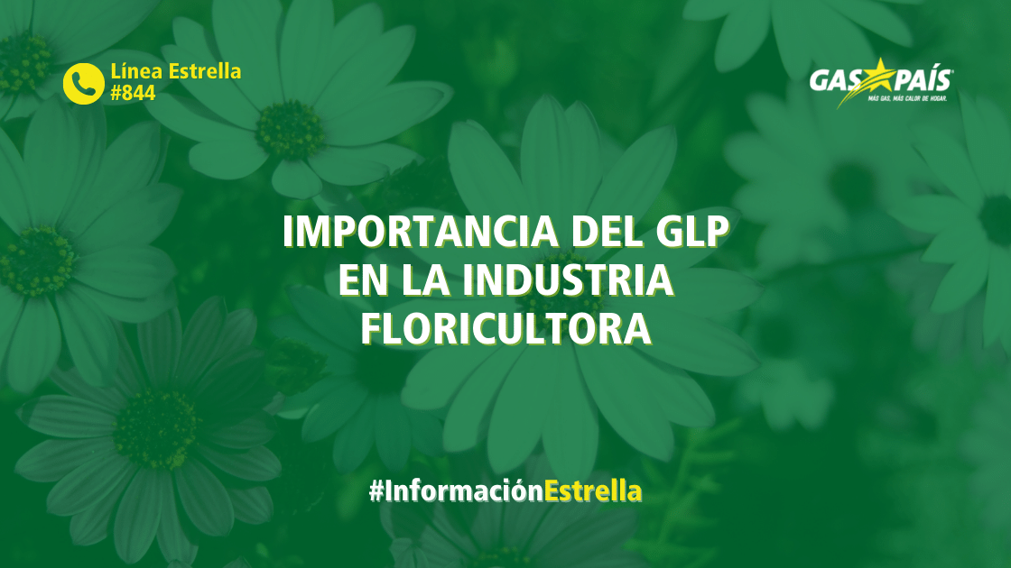 IMPORTANCIA DEL GLP EN LA INDUSTRIA FLORICULTORA