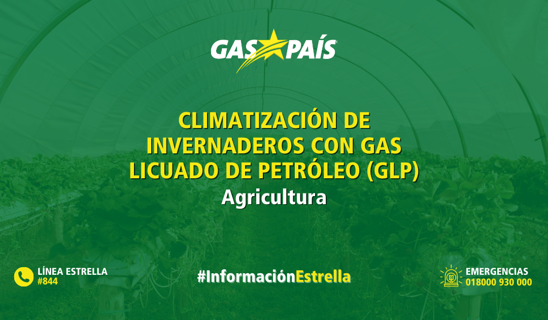 CLIMATIZACIÓN DE INVERNADEROS CON GAS LICUADO DE PETRÓLEO (GLP)