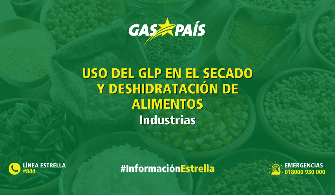 USO DEL GLP EN EL SECADO Y DESHIDRATACIÓN DE ALIMENTOS