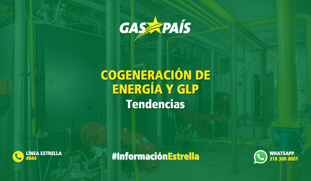 COGENERACIÓN DE ENERGÍA Y GLP