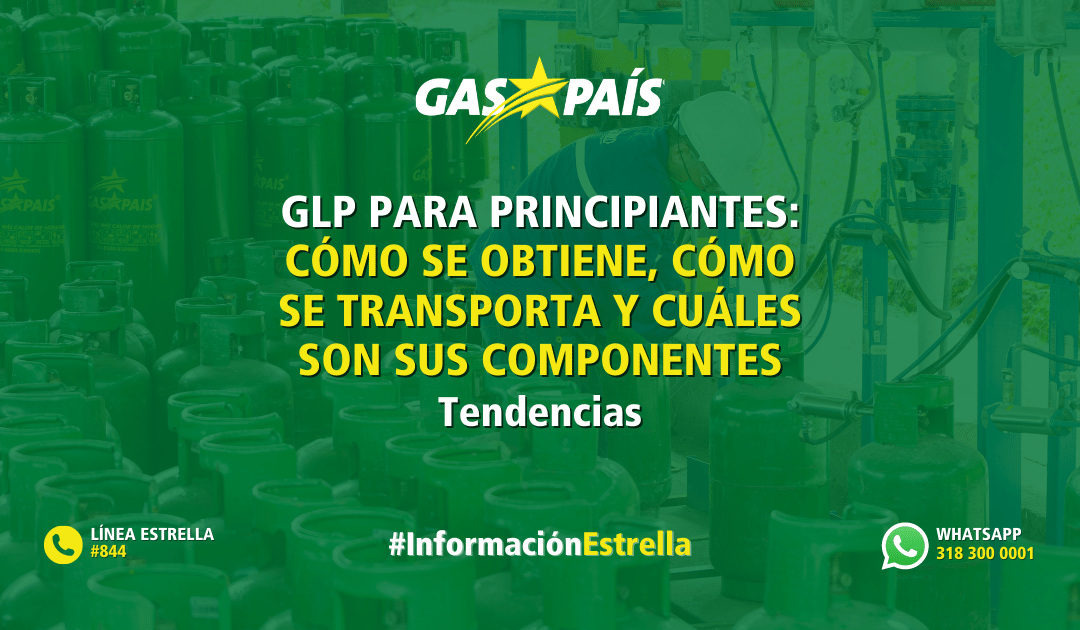 GLP PARA PRINCIPIANTES: CÓMO SE OBTIENE, CÓMO SE TRANSPORTA Y CUÁLES SON SUS COMPONENTES