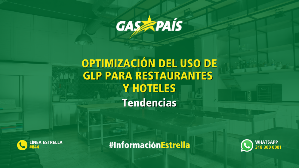 OPTIMIZACIÓN DEL USO DE GLP PARA RESTAURANTES Y HOTELES: MEDIDAS CLAVE PARA UN IMPACTO SOSTENIBLE A CORTO Y MEDIANO PLAZO