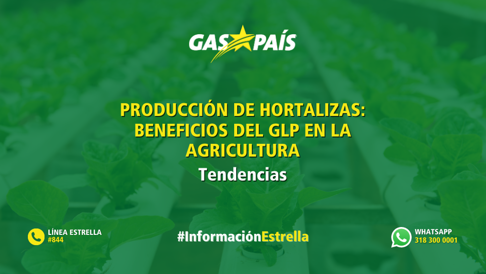 PRODUCCIÓN DE HORTALIZAS: BENEFICIOS DEL GLP EN LA AGRICULTURA