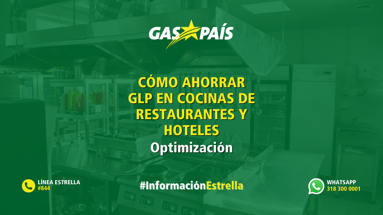 CÓMO AHORRAR GLP EN COCINAS DE RESTAURANTES Y HOTELES