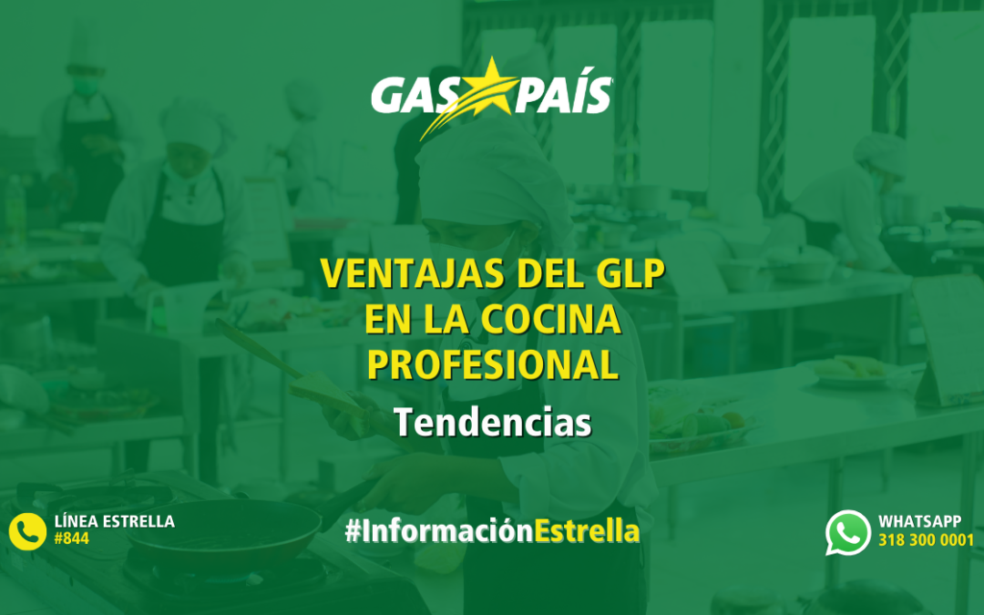 VENTAJAS DEL GLP EN LA COCINA PROFESIONAL