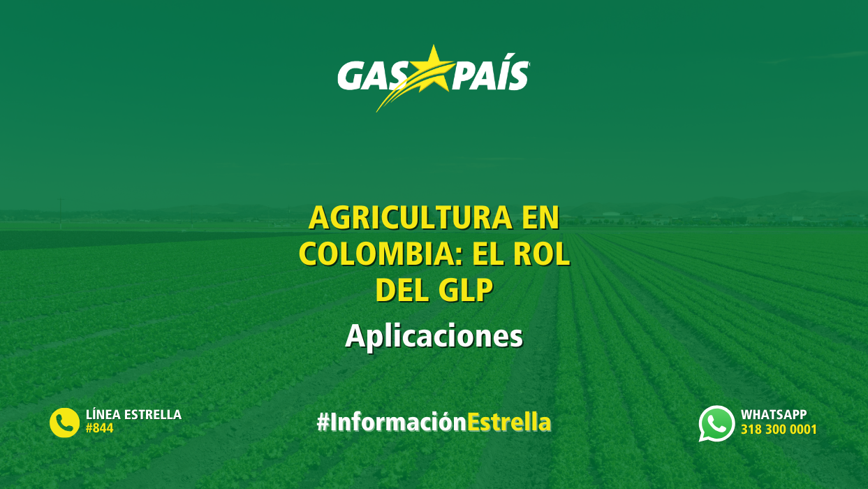IMPULSANDO LA AGRICULTURA SOSTENIBLE EN COLOMBIA: EL ROL VITAL DEL GLP