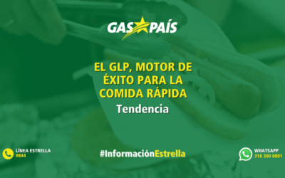EL GLP, MOTOR DE ÉXITO PARA LOS PUESTOS AMBULANTES DE COMIDA RÁPIDA