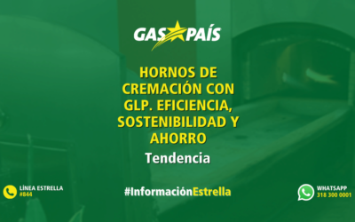 HORNOS DE CREMACIÓN CON GLP. CONSIGA EFICIENCIA, SOSTENIBILIDAD Y AHORRO
